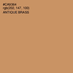 #CA9364 - Antique Brass Color Image